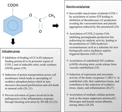 Aspirin: The Mechanism of Action Revisited in the Context of Pregnancy Complications